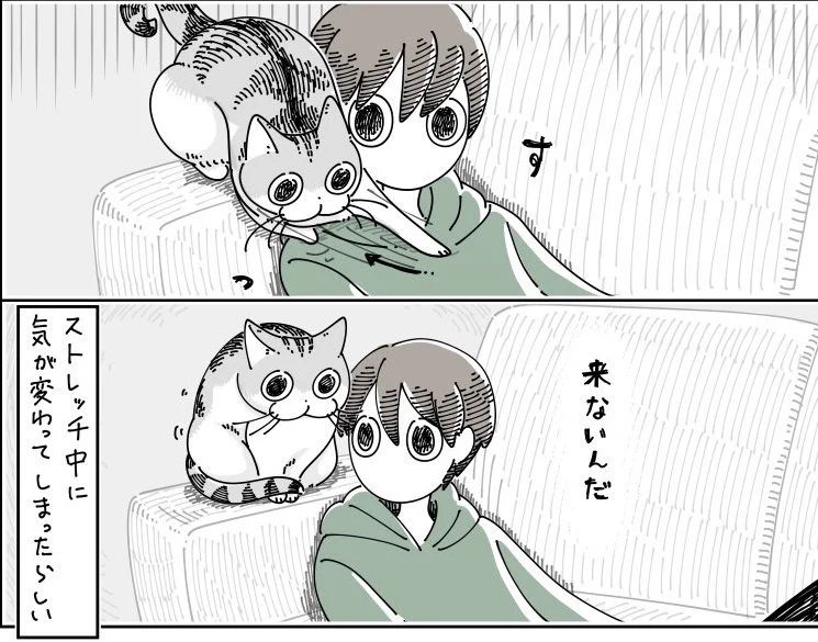 @kyuryuZ ずっと見てみたい飼い主と猫の仲のよさ。
(=●ェ●=o・ω・o)ピタッ！ 