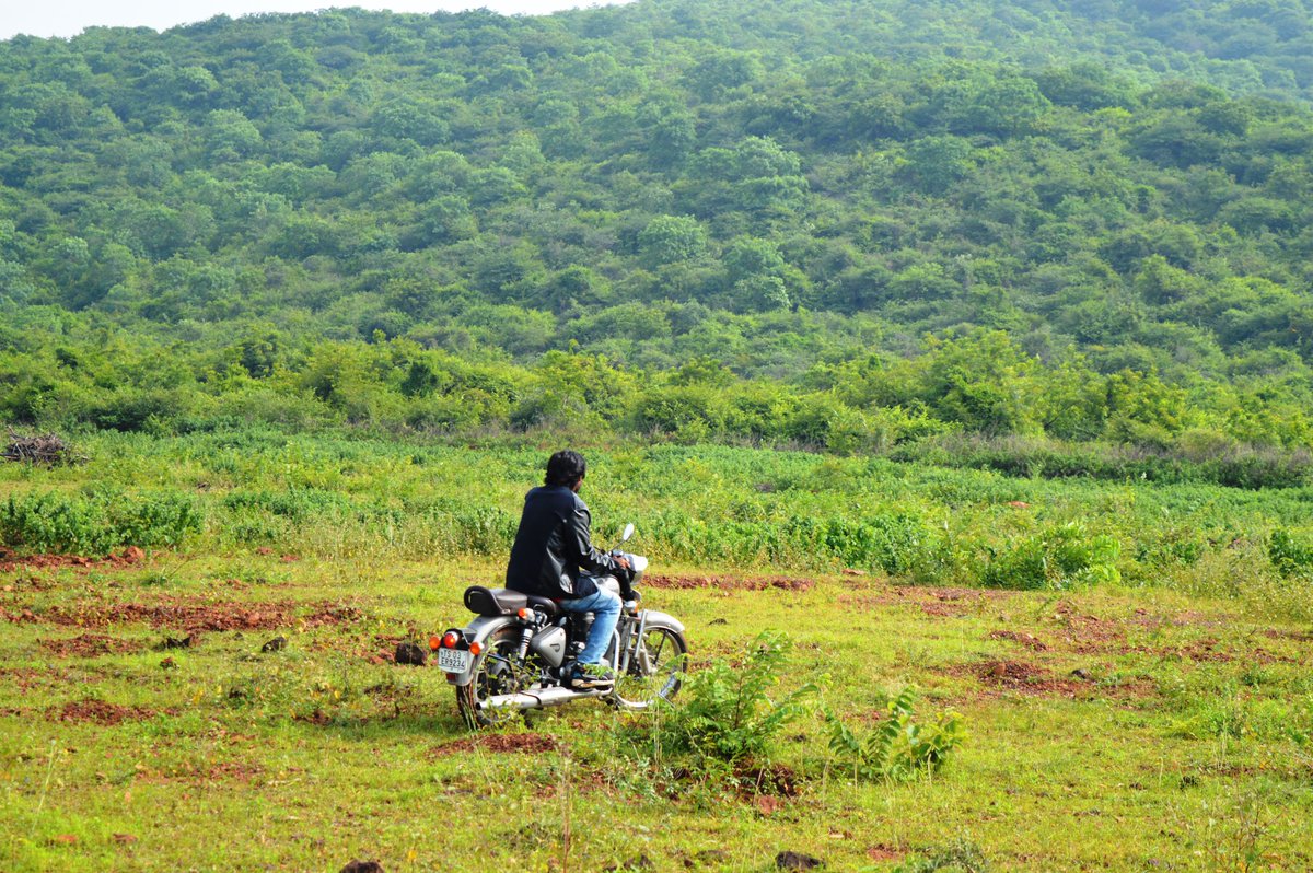Journo_laxman's tweet photo. #Forestbathing to be held in #Devunoor forest area on May 22 by #JVV #Hanamkonda For more details call 94901 33650 (P Venu) @KSriniReddy @WarangalBook @santhoshmanduva https://t.co/Q5E01KEnDB