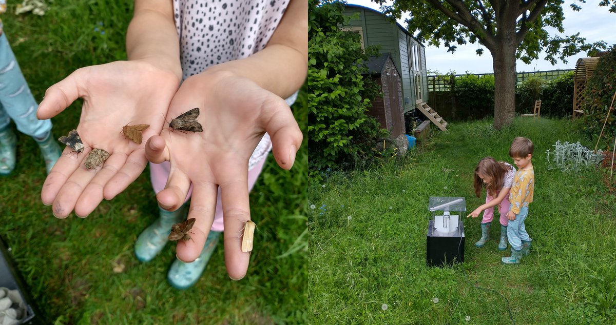 Tom_H_Oliver's tweet photo. Where did these moths come from this morning, and where will they go next? New paper out this morning from Jenny Hodgson @LivUni, @Moth_Lady @savebutterflies  @insectchris @Rothamsted_RIS @UniofReading assessing how moths move through different landscapes under climate change https://t.co/vT8mdf5a8X