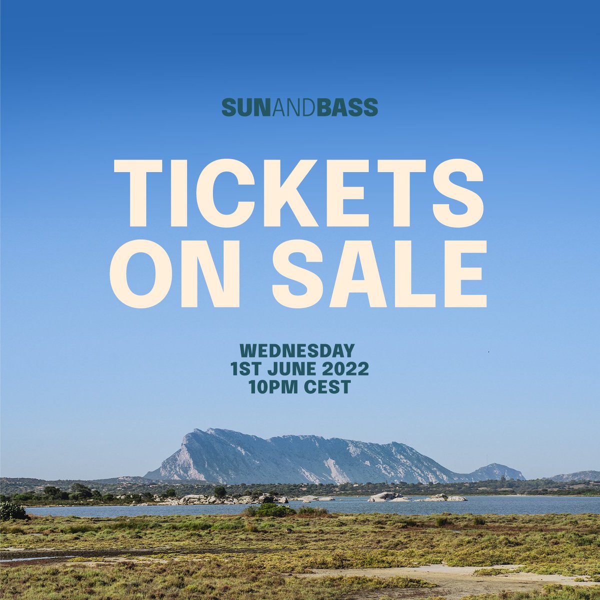 sunandbass tweet media