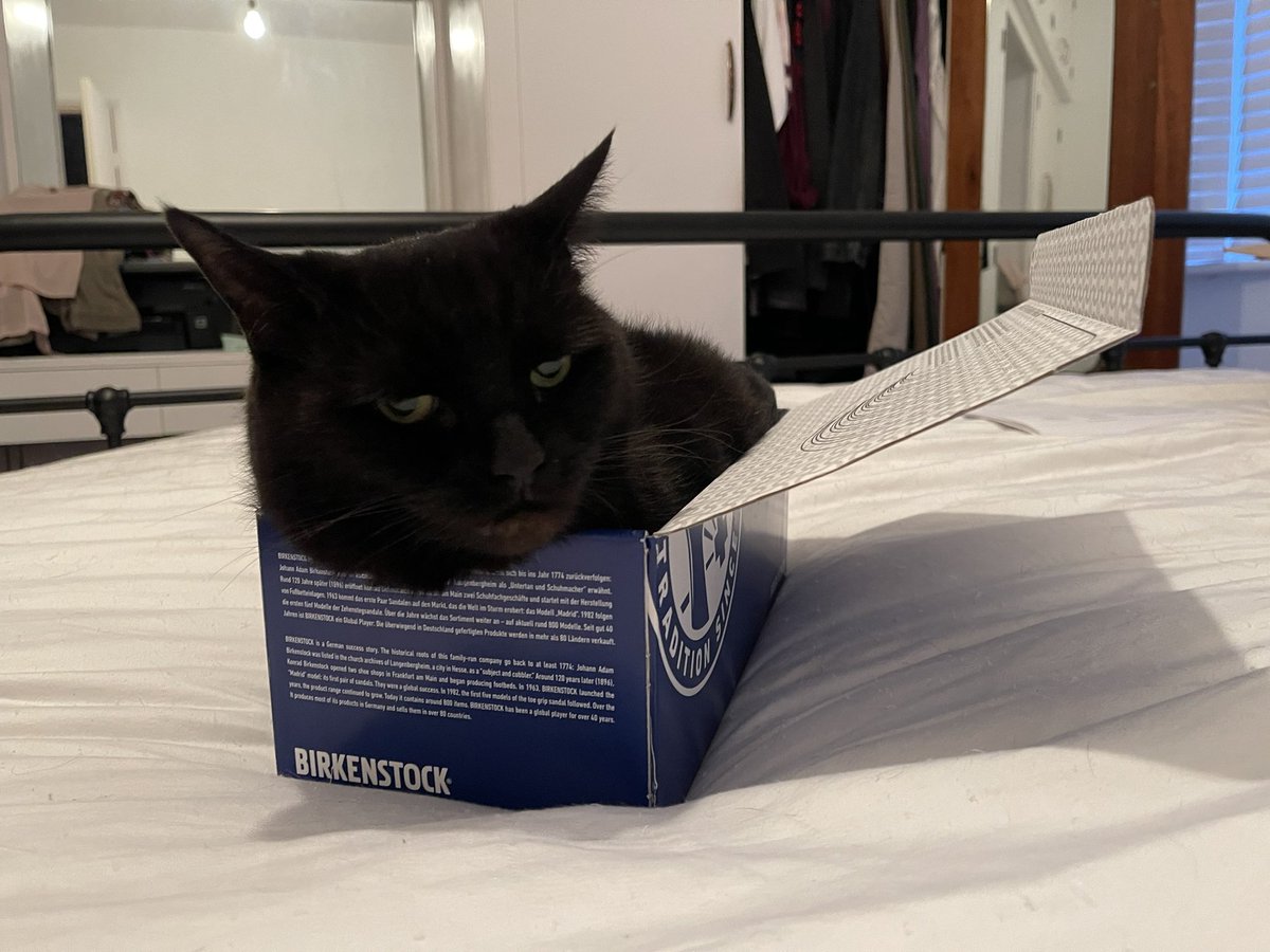 TheCatBabies's tweet photo. Dog: Mum got some new shoes and I got a new box #howgreatisthat #ififitsisits #happyfriday https://t.co/toU296EVwJ