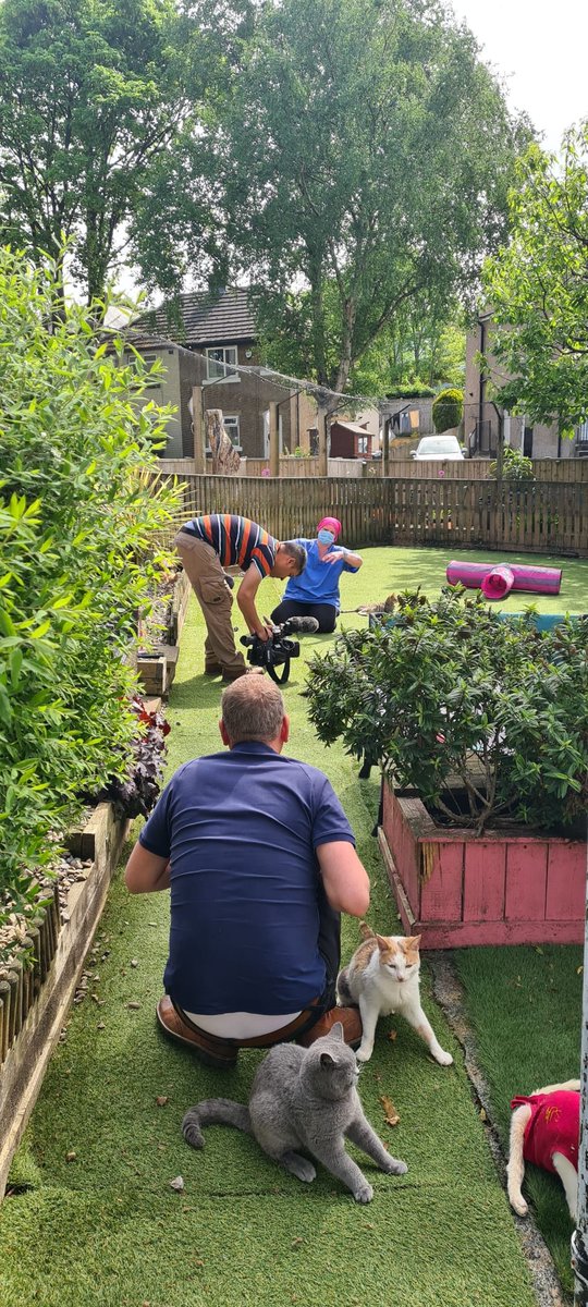 BCWRkittens's tweet photo. Been a busy afternoon on Wednesday at BCWR filming with @bbclooknorth Manisha was really a little tinker stealing the camera man's mic. 🤣🤣
#looknorth #bcwr #bradfordcatwatchrescue #manishatherescuekitten #specialneedscats #sensegarden #rescuecats #rescuekittens #catsoftwitter https://t.co/dhf0BLSe2u