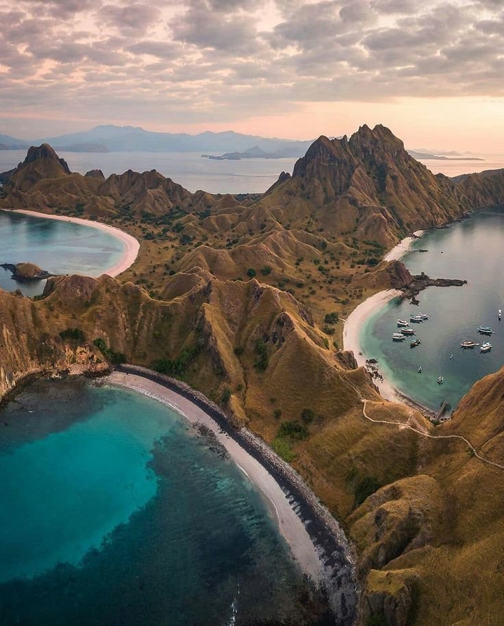 Pernah deh ngebayangin mau solo trip gitu ke pulau komodo, liat di tv tv kayaknya bisa banget buat list tempat healing gitu #LihatDuniaLagi