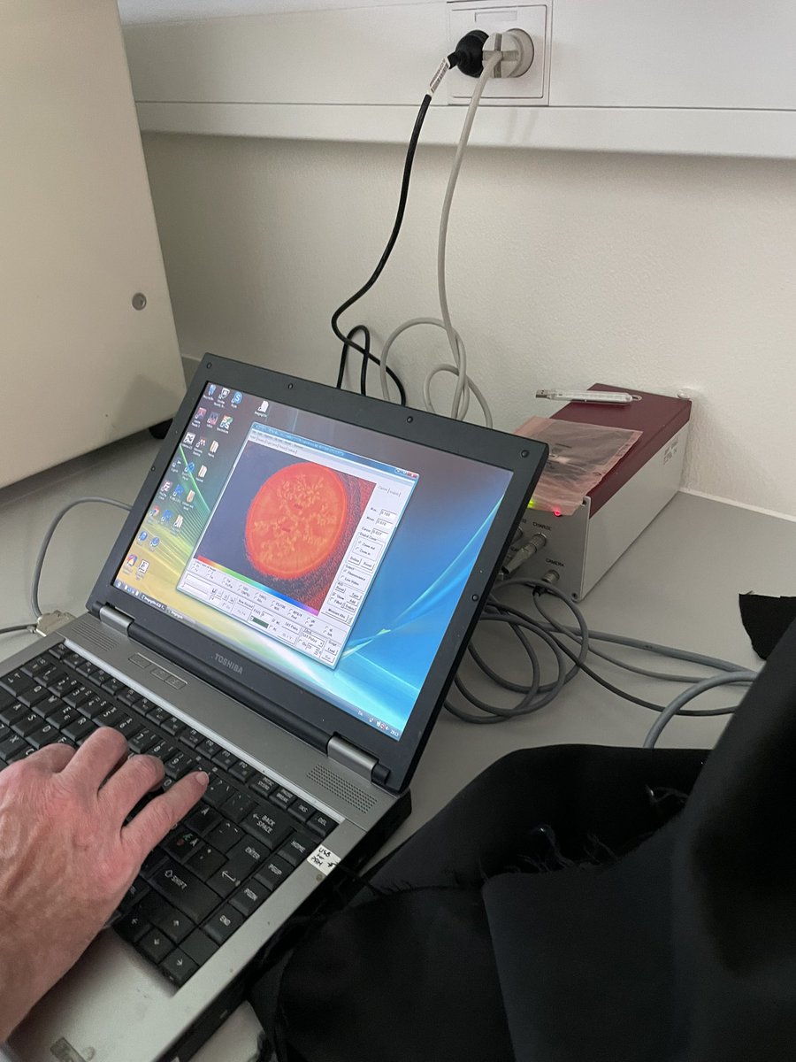 EmilyYeager9's tweet image. Coral, meet microsensor (with some bonus content of a Cassiopeia under an IPAM).
Days 4 and 5 of #microsensor2022 have been absolutely mind blowing🤯. I’m so grateful to have the opportunity to learn so many new techniques from such incredible scientists