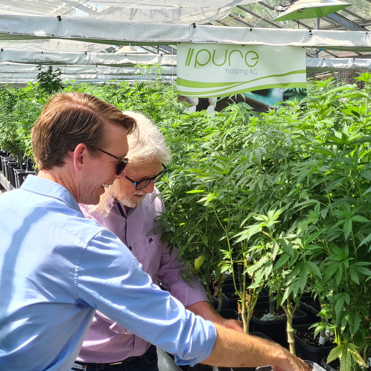 Puregene AG tweet media