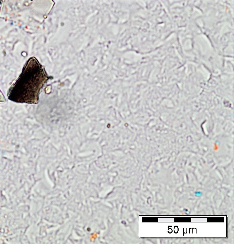 Busy day yesterday for members &amp; collaborators of the <a href="/ERC_Research/">European Research Council (ERC)</a> THERA project (<a href="/imogen_gabriel/">Imogen Gabriel</a> <a href="/peter_abbott/">Peter Abbott</a> <a href="/GPlunkett/">Giovannina Plunkett</a>) at #PAGESOSM2022 / <a href="/VICS_PAGES/">VICS Working Group</a> session. New insights on volcanism, #tephra and #climate impact over 5,000 years from polar ice cores. <a href="/unibern/">Universität Bern</a>