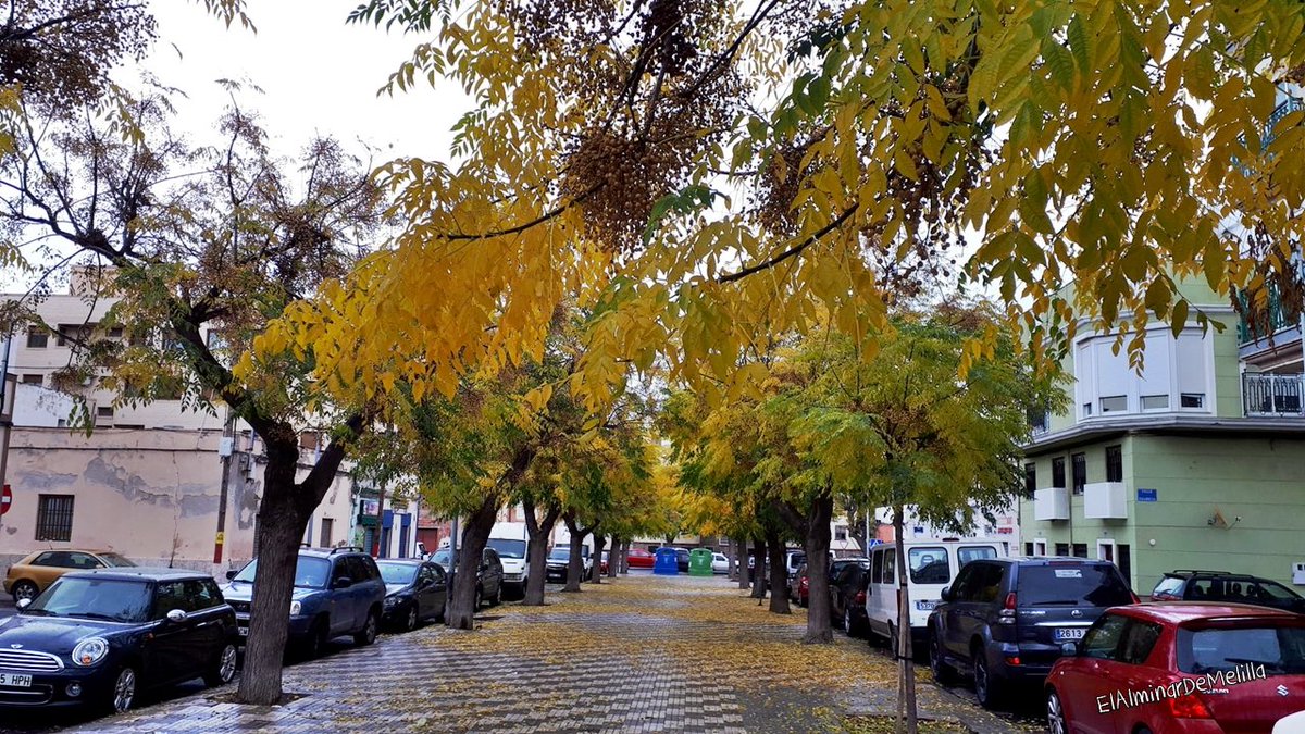 ArboladoMelilla's tweet photo. Dos calles al SOL en el Barrio Del Real, Infantas y Villalba. 
El pasado invierno talaron el que había en esas aceras.

#Melilla #ArboladoUrbano #Sombra #Arbolado #Calor #Sol https://t.co/4b80n9sl1F
