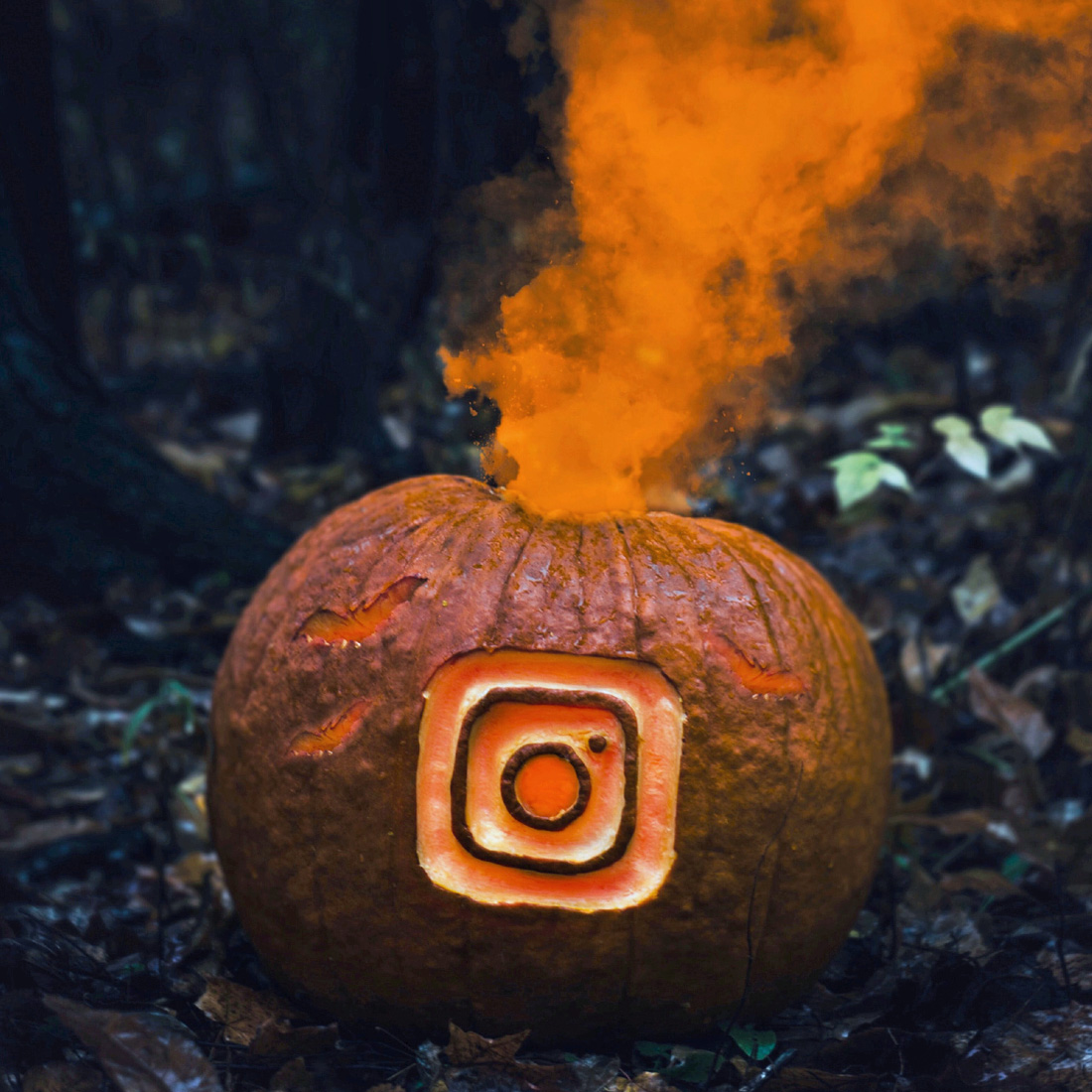 LChiarello_arts's tweet photo. My #instagram profile will be INACTIVE as long as it continues 2 be testing the new -horrible- IG’s layout. Hope to come back 🔜
Il mio profilo IG sarà INATTIVO finchè continuerà a far parte del test del nuovo -orribile- layout
#instagramlayout #instagramupdate #feed #testingfeed https://t.co/ZAogg73tCs