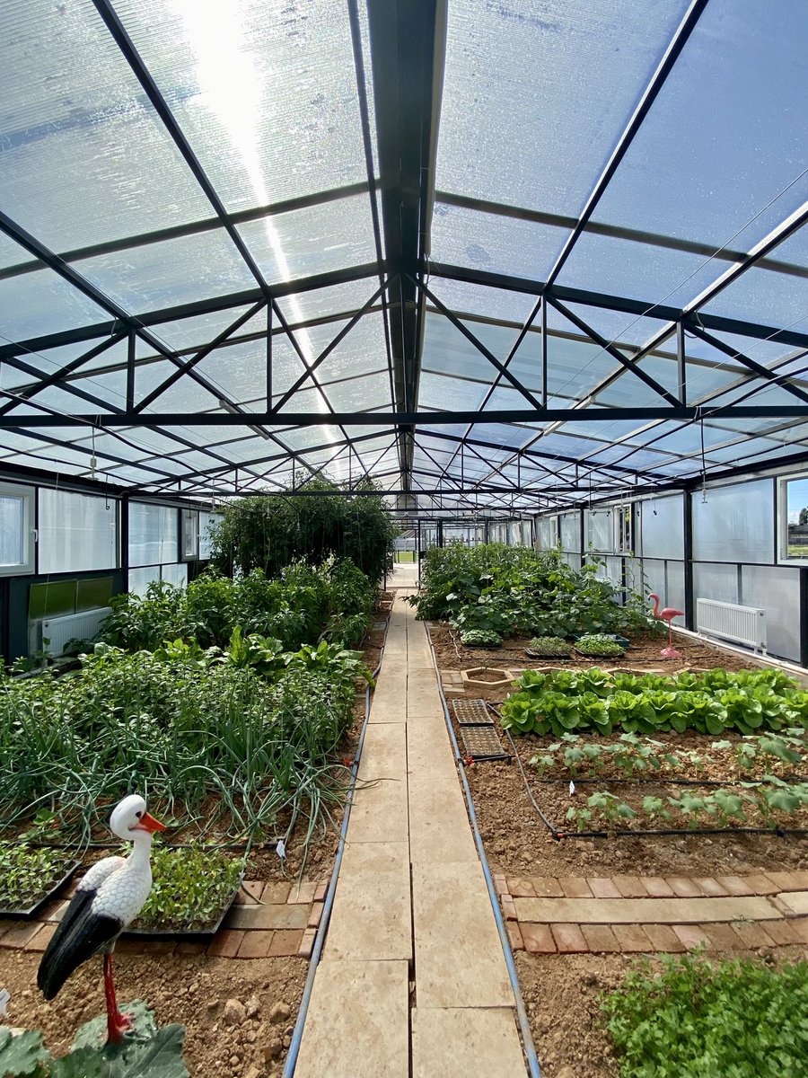 Tarım ve Doğa Atölyesi👨‍🌾👩‍🌾🌸