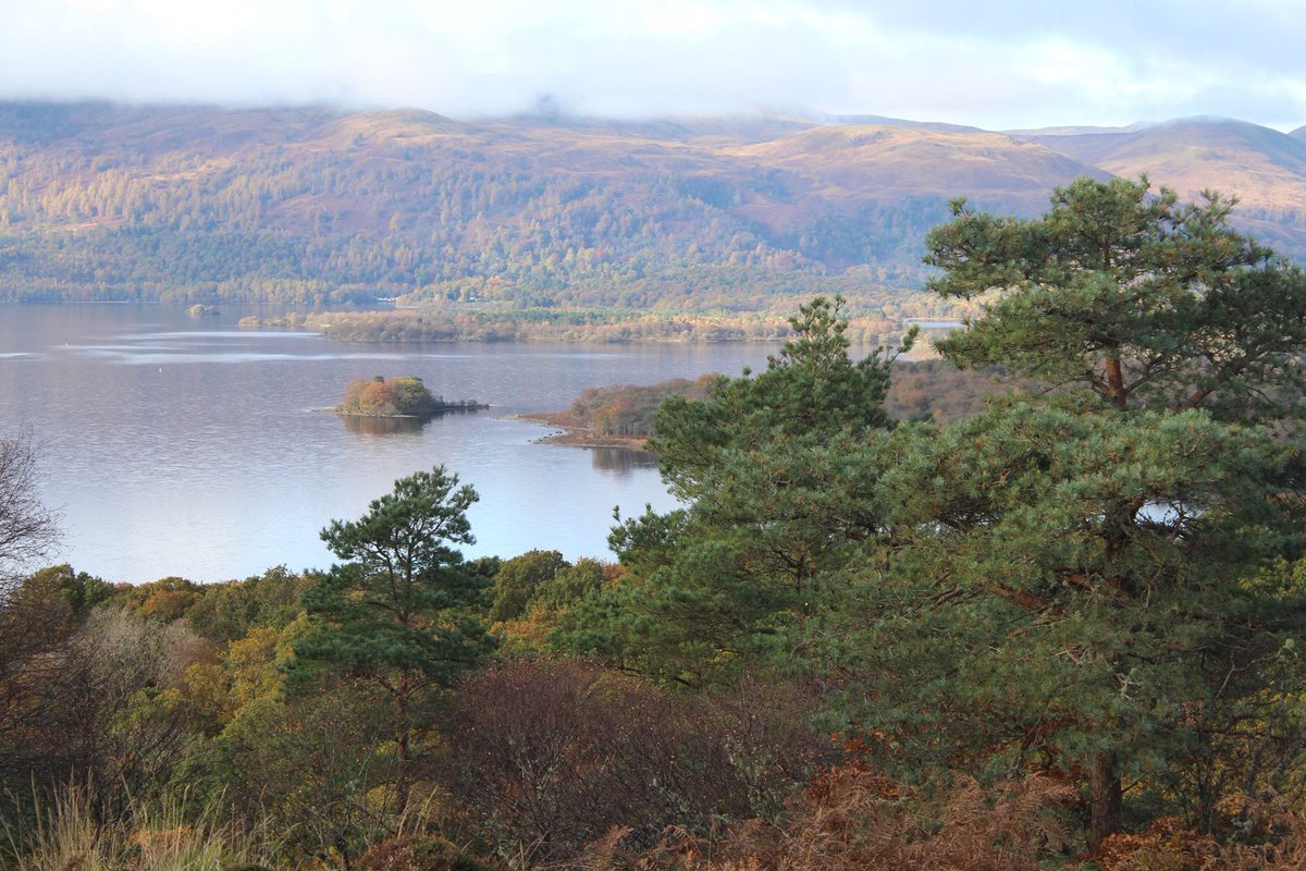 Loch Lomond & The Trossachs tweet media