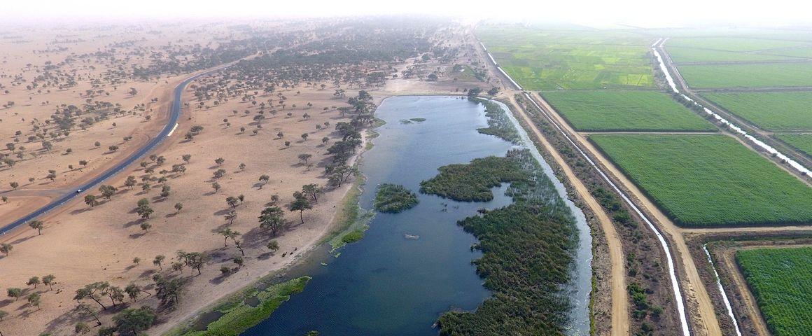 Cirad's tweet photo. On the eve of the global #landforum2022 in Jordan, emerging evidence shows that large-scale land acquisitions (#LSLAs) in low-income countries are associated with a range of negative β & hitherto underestimated β #environmental #impacts.
More here π https://t.co/WWzhn0Vaht https://t.co/Y2nwrCkxcn