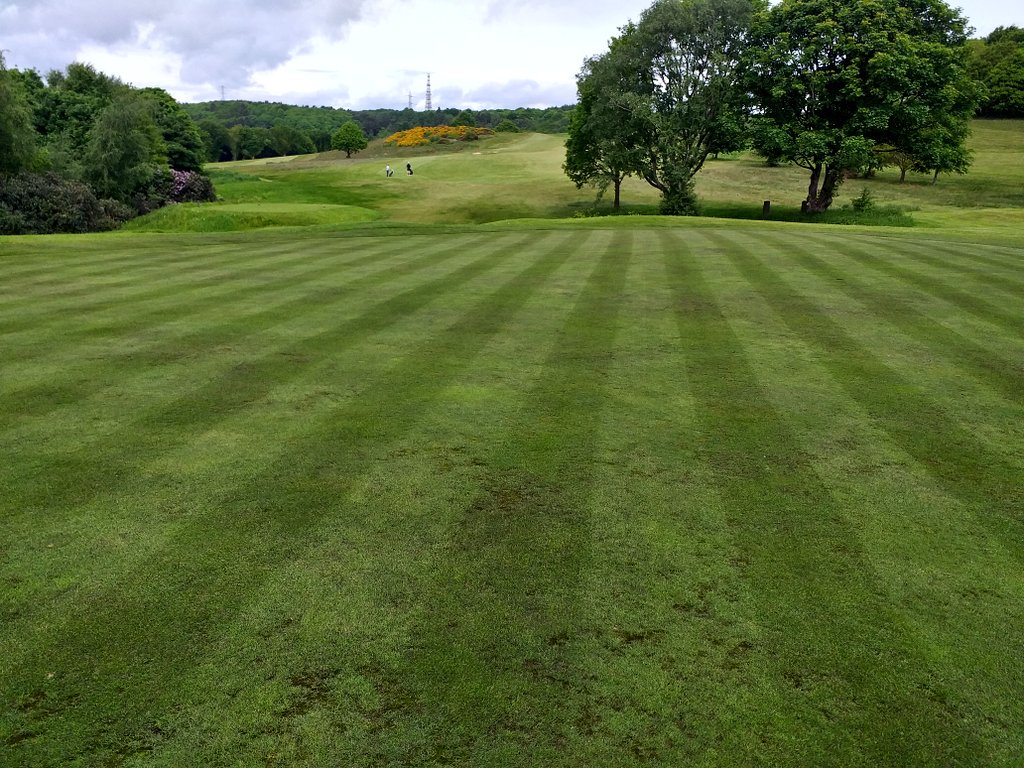 Spare green (Quarry hole) improving after recent moss treatment. Further treatments plus overseeding (agrostis) scheduled 👍