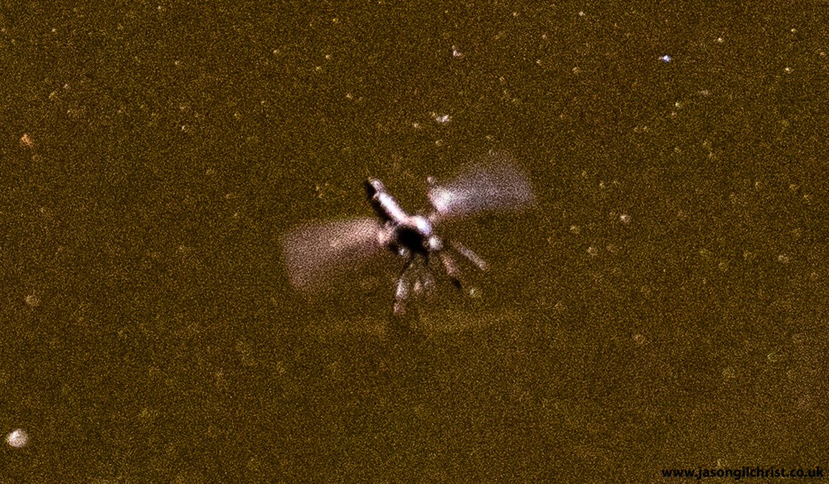 jgilchrist13's tweet photo. Returned to Union Canal yesterday, to try get ID shots of flies on water. They are called dance flies because they dance. Hard to photo! Hilara maura. Empididae. #fly #DanceFly #DaggerFly #Empididae #FlyFriday #Springwatch #TwitterNatureCommunity #UnionCanal #Edinburgh #Scotland https://t.co/qtocZa9UOj