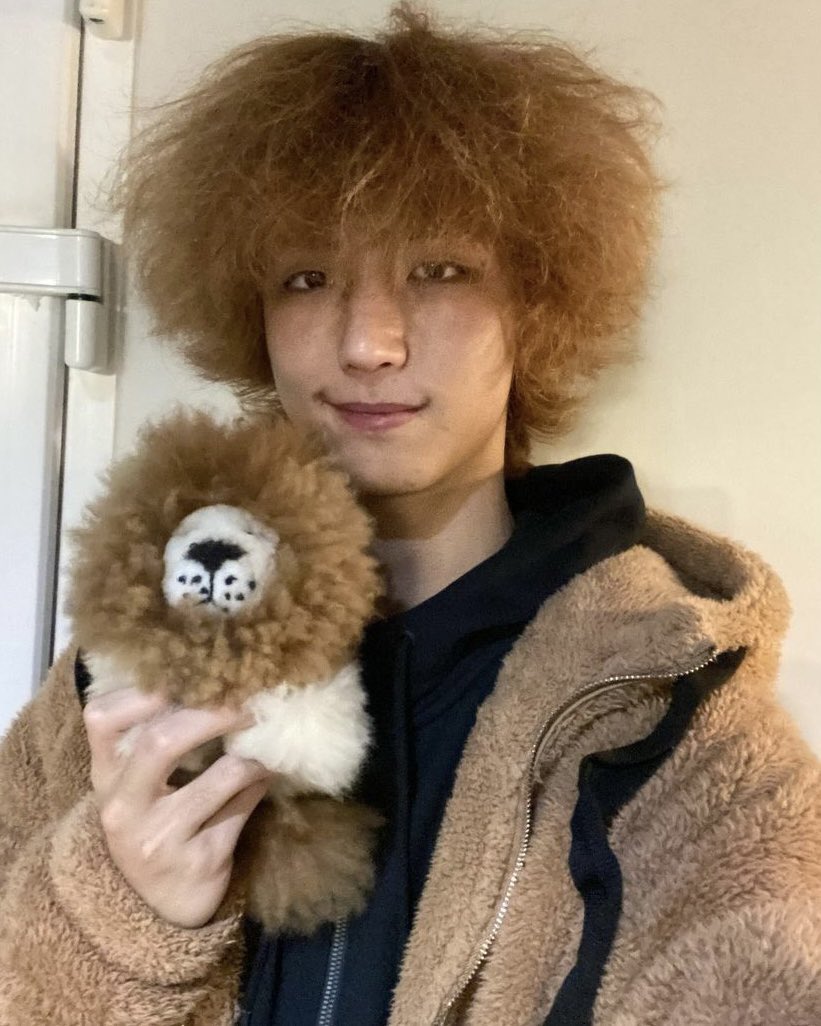 keunilku's tweet photo. i guess everyones gonna experience a 🦁 hair era someday… https://t.co/eYQucFnJ8k
