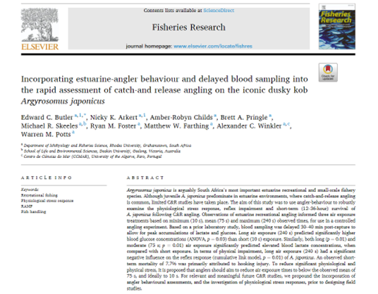 Primary findings: Air exposure time should be reduced to below 75 s, and ideally to 10 s to minimise the physiological stress response, reflex impairment and short-term survival of
A. japonicus following C&amp;R angling.
Congratulations to these authors!
authors.elsevier.com/c/1f64rbiU1vYC4