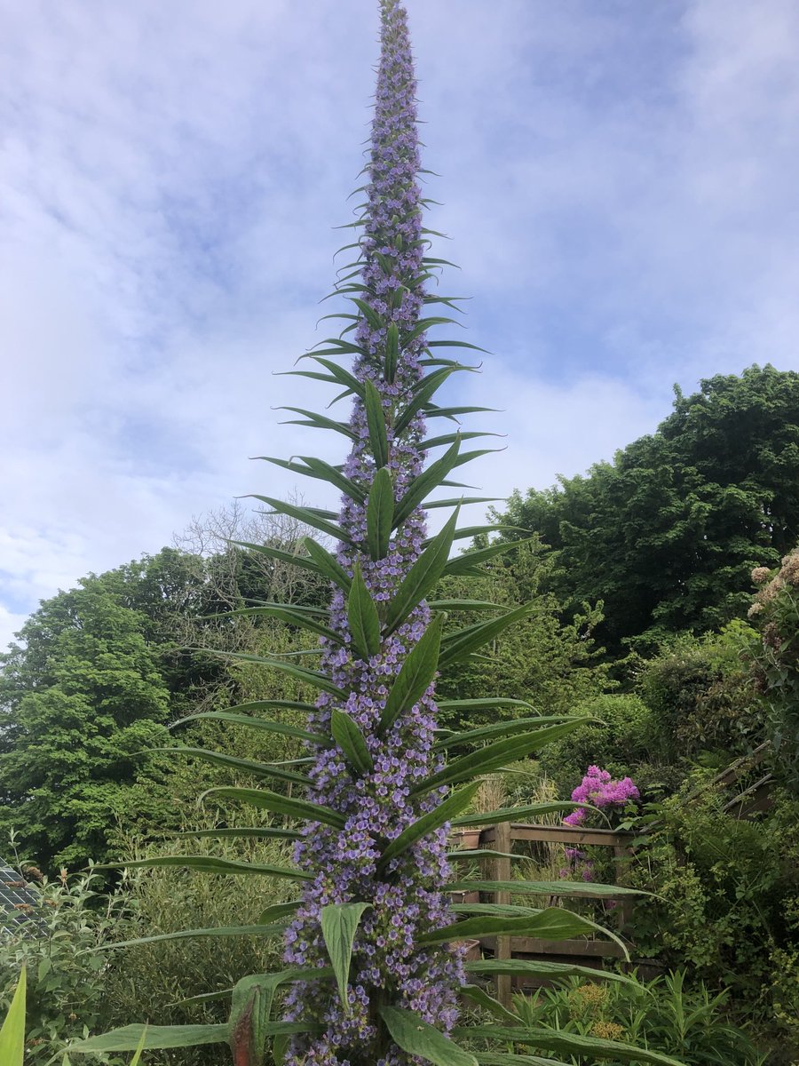 Kelvin Hearn tweet media