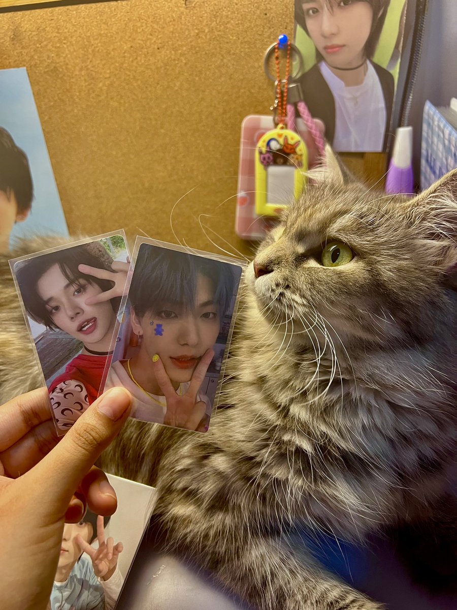 beomkaibear's tweet photo. 🧸 #bearmails
SOOBIN R AND YJ ESCAPE haver?!! waaaa bumalik ang sparks shet thank u @99O2z for letting me adopt and also to @yawnjuncart for hosting the set❤️ https://t.co/DvfUhtj5c4