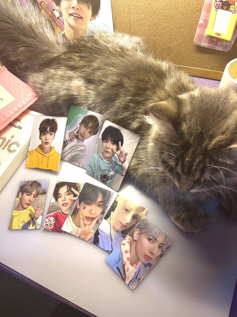 beomkaibear's tweet photo. 🧸 #bearmails
SOOBIN R AND YJ ESCAPE haver?!! waaaa bumalik ang sparks shet thank u @99O2z for letting me adopt and also to @yawnjuncart for hosting the set❤️ https://t.co/DvfUhtj5c4