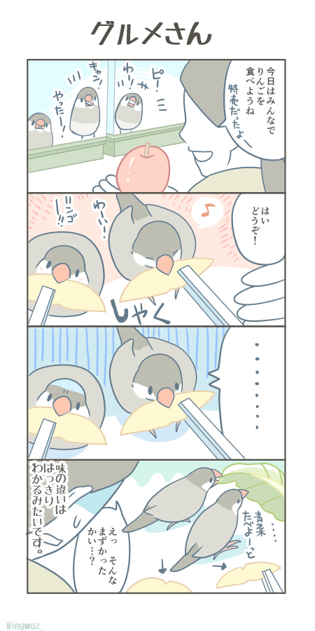 グルメさん。
#Buncho #javasparrow #文鳥 