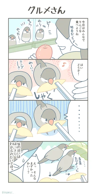 グルメさん。#Buncho #javasparrow #文鳥 