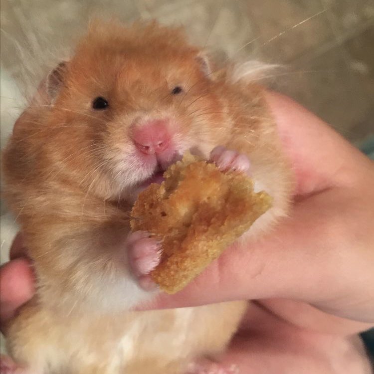 🧸 ً(SLOW) (@keunilku) on Twitter photo 