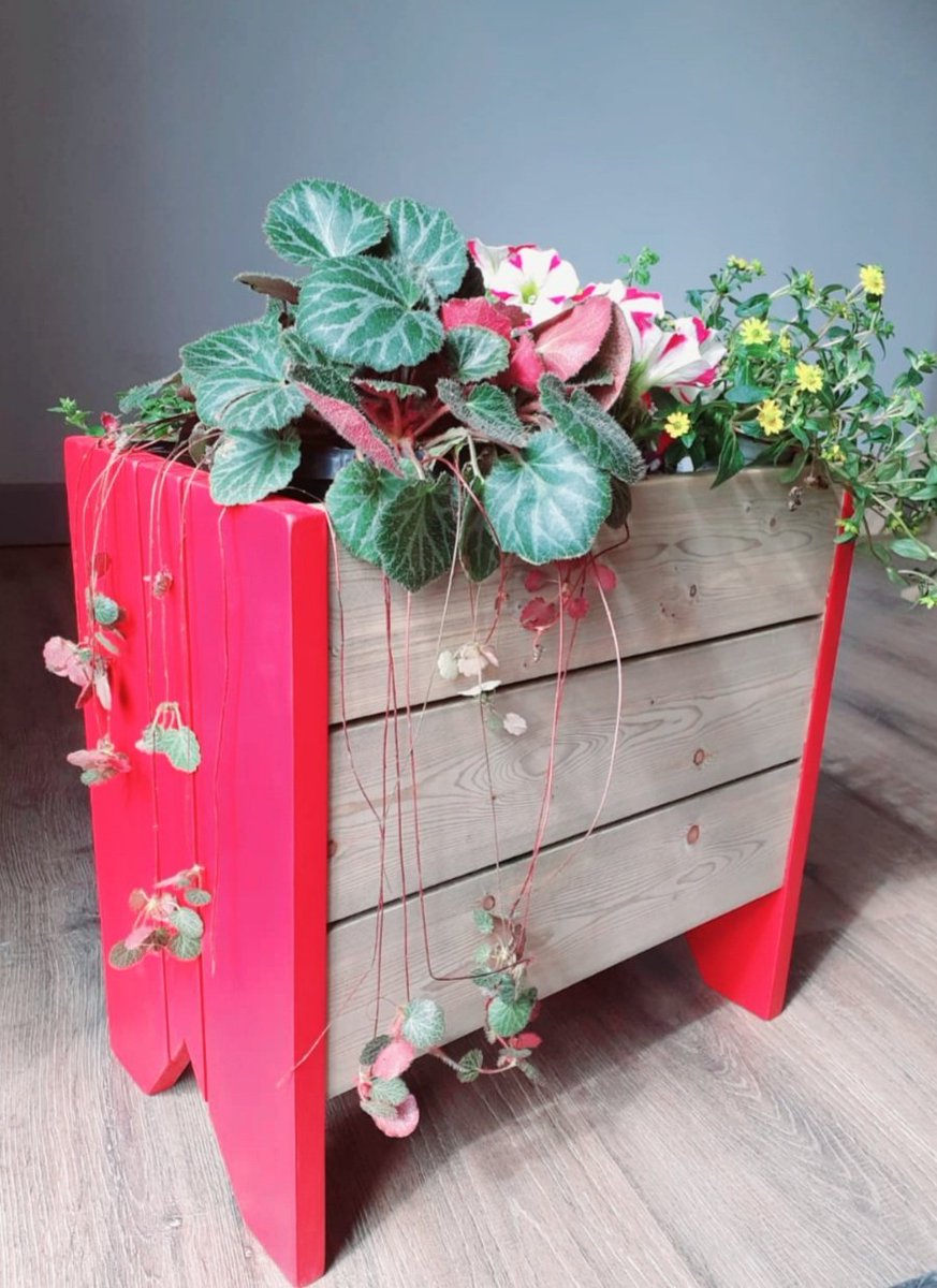 Brid_PA's tweet photo. @roisinmeaney Thanks so much Roisin for the retweet. Hope it generates a wee bit of interest in the flower-boxes &amp; planters. 🙏💛🪴🐝🌸🌱🌺🏵🌷🌾🌲🐞🌼🌿🦋🌴🌳 #gardening #GardeningTwitter #FlowerBoxes #FlowersOnFriday #PlanterBoxes #growyourown #GrowBoxes https://t.co/j74G3Kd93U