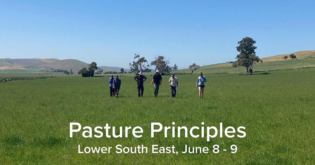 Want to learn more about pasture management? Join our LSE Pasture Principles group on June 8-9 with consultant, Royce Pitchford. The 12 month program provides a group training environment for farmers to learn the guiding principles of pasture management. pinionadvisory.com/training-works…