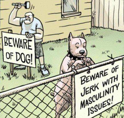 When a dog knows it's owner too well... 😝