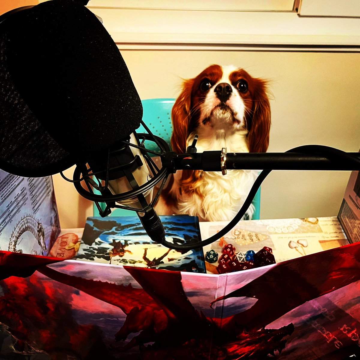In2TheDungeon's tweet photo. We had a guest #DungeonMaster last night as we continued recording our actual play of #dragonoficespirepeak
#dungeonsanddragons #podcast #dnd #actualplay #kingcharlescavalier #rpg #roleplaying #happytwosday #duet #ttrpg #ttrpgcommunity #zoim #podtrack https://t.co/CoI0lwrJEY