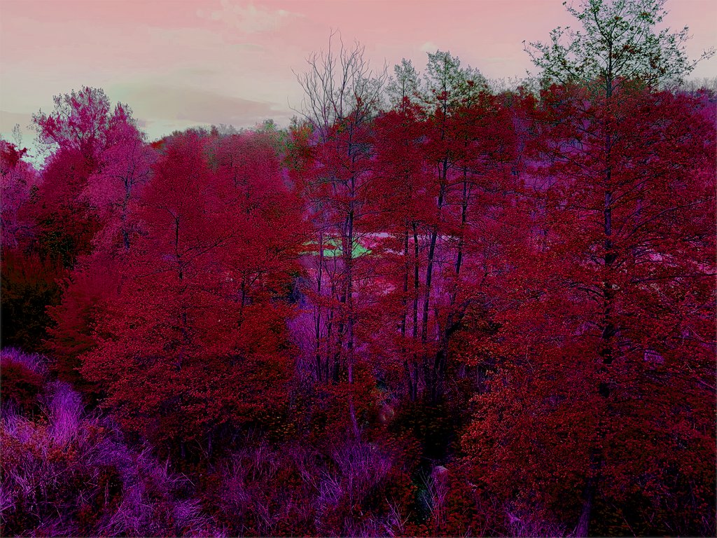 ArsenikoCWizard's tweet photo. IT-Quando avete tempo andate fra gli alberi e vicino ad essi meditate. Nessuna vita è mai troppo problematica per dedicare del tempo a se stessi
EN-When you have time, go among the trees and meditate near them. No life is too problematic to take time for yourself
#coven #magia https://t.co/7wyUiVYPQ6
