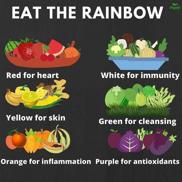 WilsomCora's tweet photo. Do you know how food is related to your health and body?

#healthylifestyle #HealthyLiving #HealthyFood #foodblogger #foodie #foodphotography https://t.co/xQEKV3n3BD