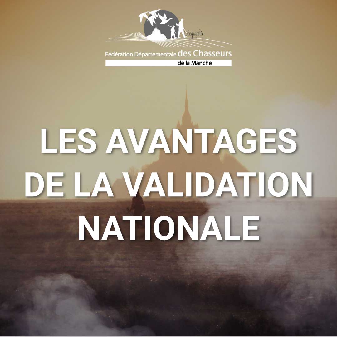 FdcManche's tweet photo. Les avantages de la #validationnationale en 3x sans frais ? 🌟

✅ Chasser dans tous les départements 📍,
✅ Rencontrer de nouveaux chasseurs 🤝🏻,
✅ Découvrir de nouveaux territoires 🌳 et de nouveaux modes de chasse ✨ !

#fdc50 #validationnationale #3foissansfrais #avantages https://t.co/rhaNRJ0l0J