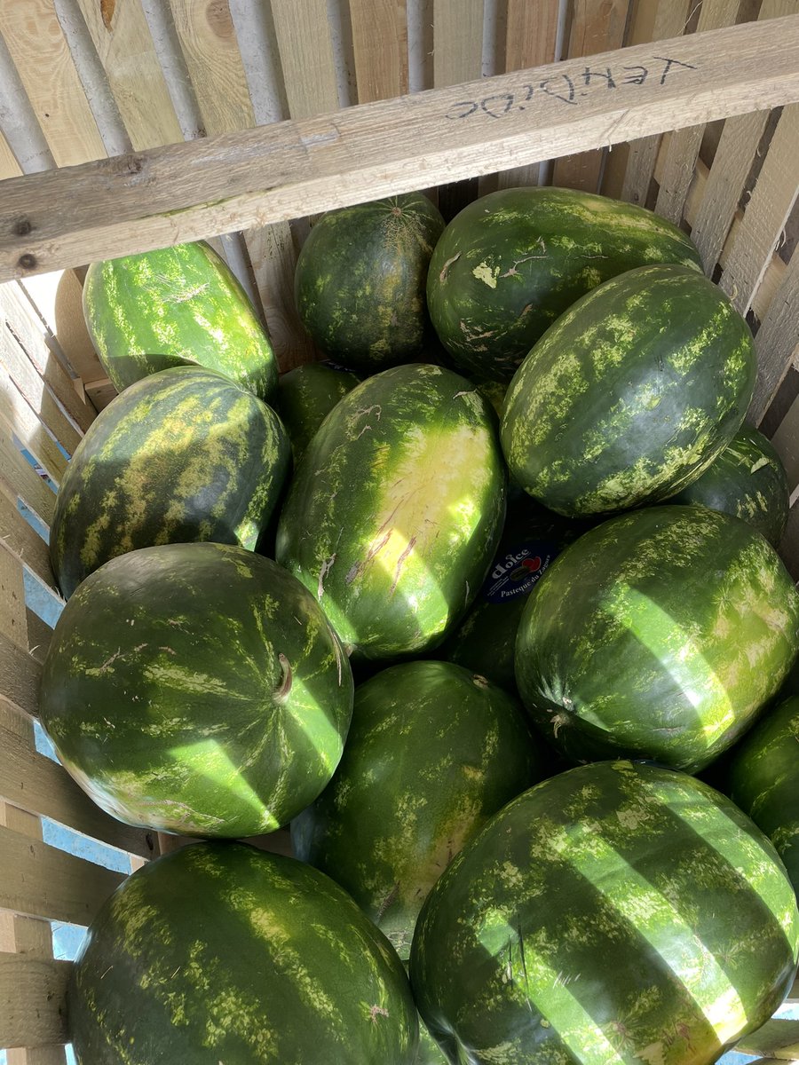 ¡Hoy vuelve el cross del @LourdesFUHEM 😃 y ya tenemos las sandias fresquitas 🍉 para hidratarse de forma sana! 
Os recordamos que tras las carreras estaremos en el polideportivo con limonada 🍋 y bocadillos para compartir la jornada. 
¡Nos vemos!