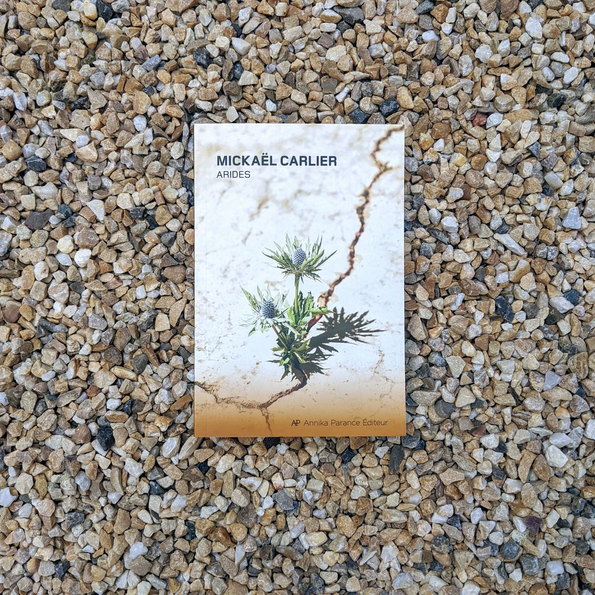 «J'ai beaucoup aimé le style de l'auteur, il est, comme le contenu du roman, épuré et bouleversant, il va à l'essentiel.» ⭐️⭐️⭐️⭐️ 
Les lecteurs de <a href="/Babelio/">Babelio</a> lisent ARIDES de Mickaël Carlier. Et vous? #vendredionlit