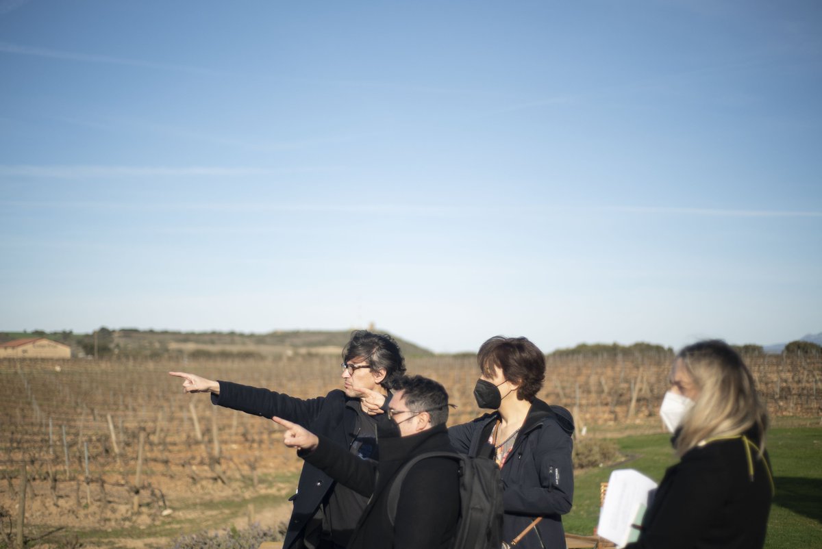 Rodrigo Cortés tweet media