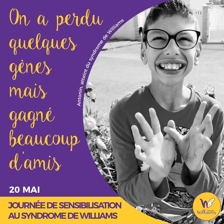 Fédération Williams France tweet media