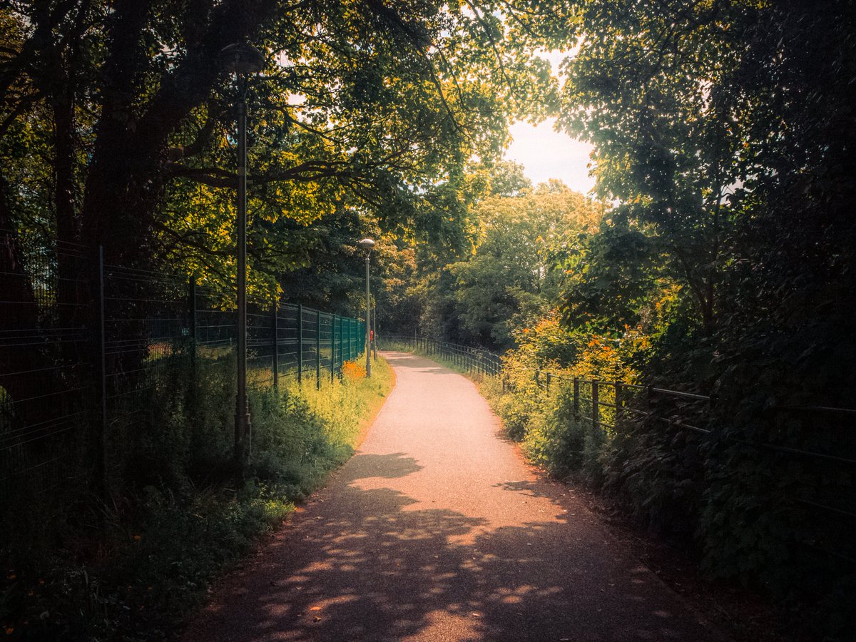 artofseanmurphy's tweet photo. In The Delicate Sunlight Of Day https://t.co/HOcADPOJPl