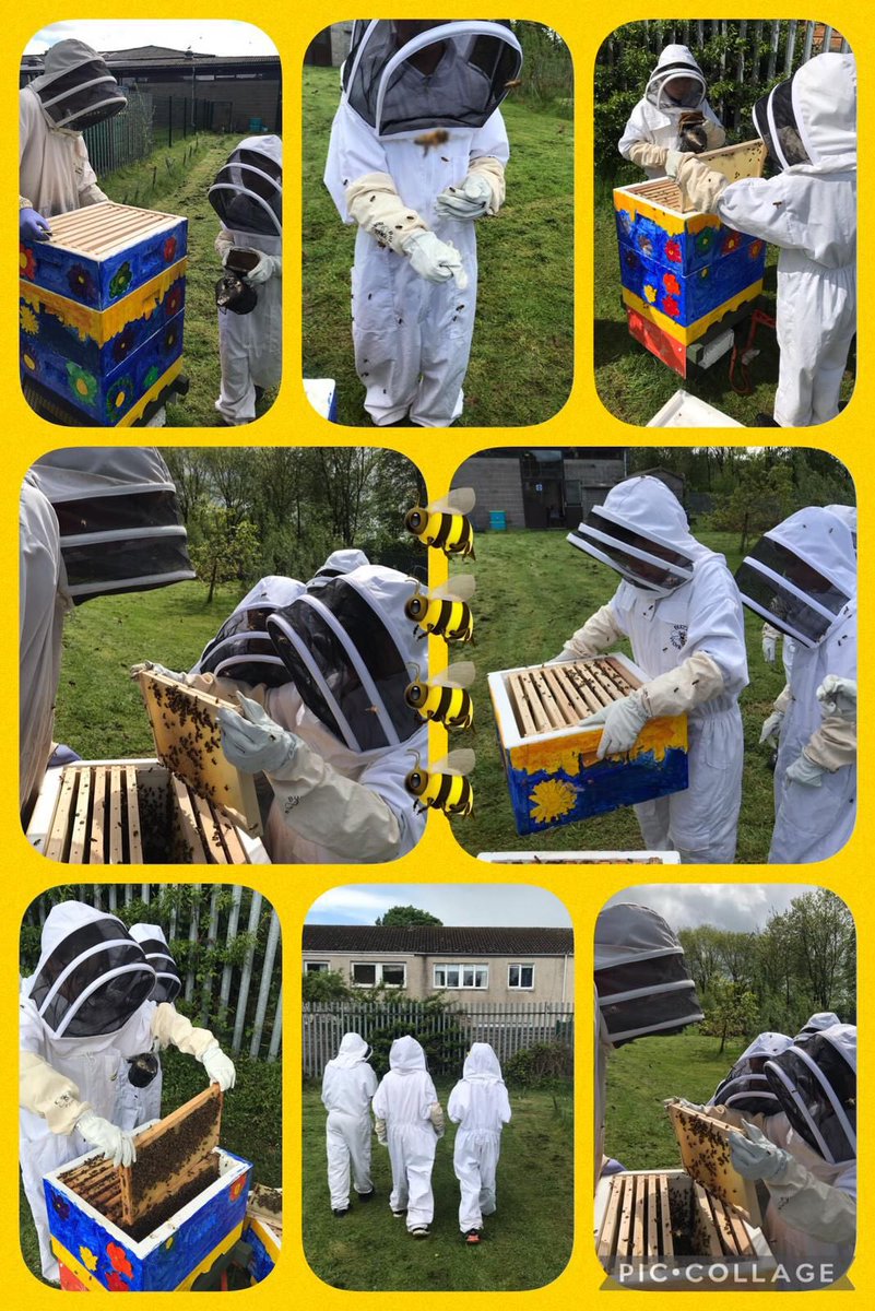 WebsterHoney's tweet photo. Hives and happy children everywhere you look on #WorldBeeDay2022 @WebsterHoney #schoolengagement #sponsorahive #learnaboutbees https://t.co/zI5zRATOB0