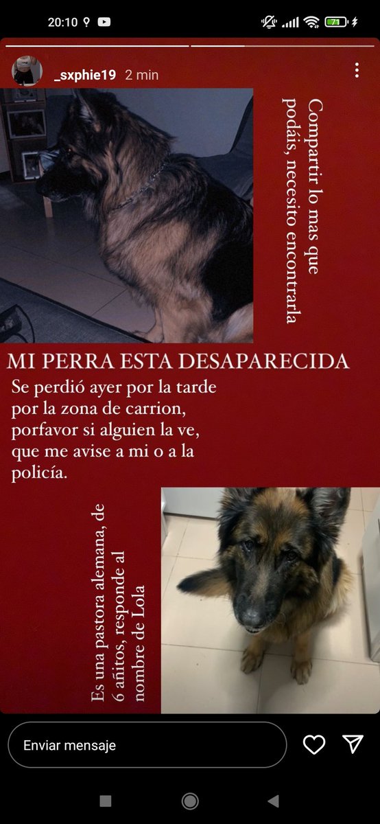 Maxii__23's tweet photo. Se a perdido la perra de mi novia por la zona de un camino de Carrión (ciudad Real) favor dar Rt para que llegue a más gente , Ayudarme a encontrarla entre todos
@wikiCR https://t.co/nlqdlS0u3K