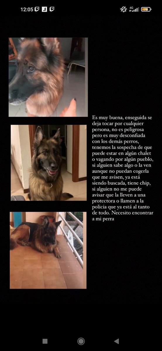 Maxii__23's tweet photo. Se a perdido la perra de mi novia por la zona de un camino de Carrión (ciudad Real) favor dar Rt para que llegue a más gente , Ayudarme a encontrarla entre todos
@wikiCR https://t.co/nlqdlS0u3K