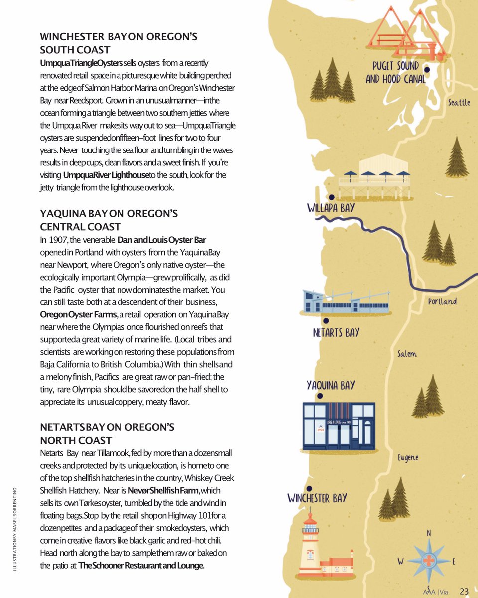 mabelsorrentino's tweet image. ✨NEW WORK✨Happy to share a new cute little map that features in the latest issue of AAA Oregon/Idaho’s Via magazine. The article explores the diverse habitats and flavours of pacific coast shellfish. #mapillustration #illustratedmap #mapillustrator #travelillustration