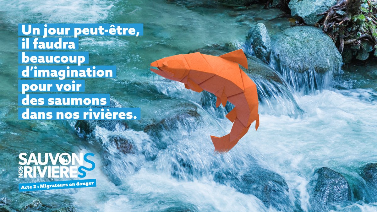 🐟 À l’occasion de la journée mondiale des poissons migrateurs et de la biodiversité, <a href="/lagenceverte/">L'Agence Verte</a> est fière d’avoir collaboré avec <a href="/LaFNPF/">Fédération Nationale de la Pêche en France</a> pour le lancement de sa campagne #SauvonsNosRivières - Acte 2 : migrateurs en danger
 
Rejoignez le mouvement #SauvonsNosRivieres