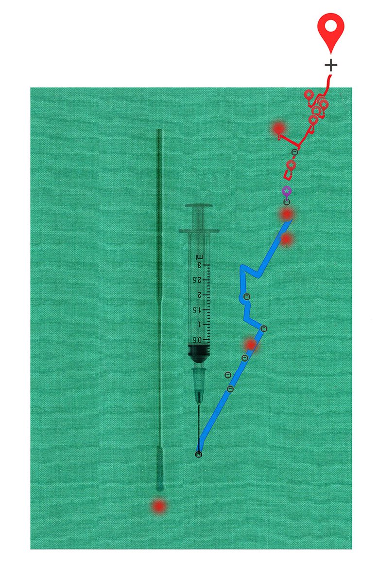 Illustrations by Matthew Richardson 