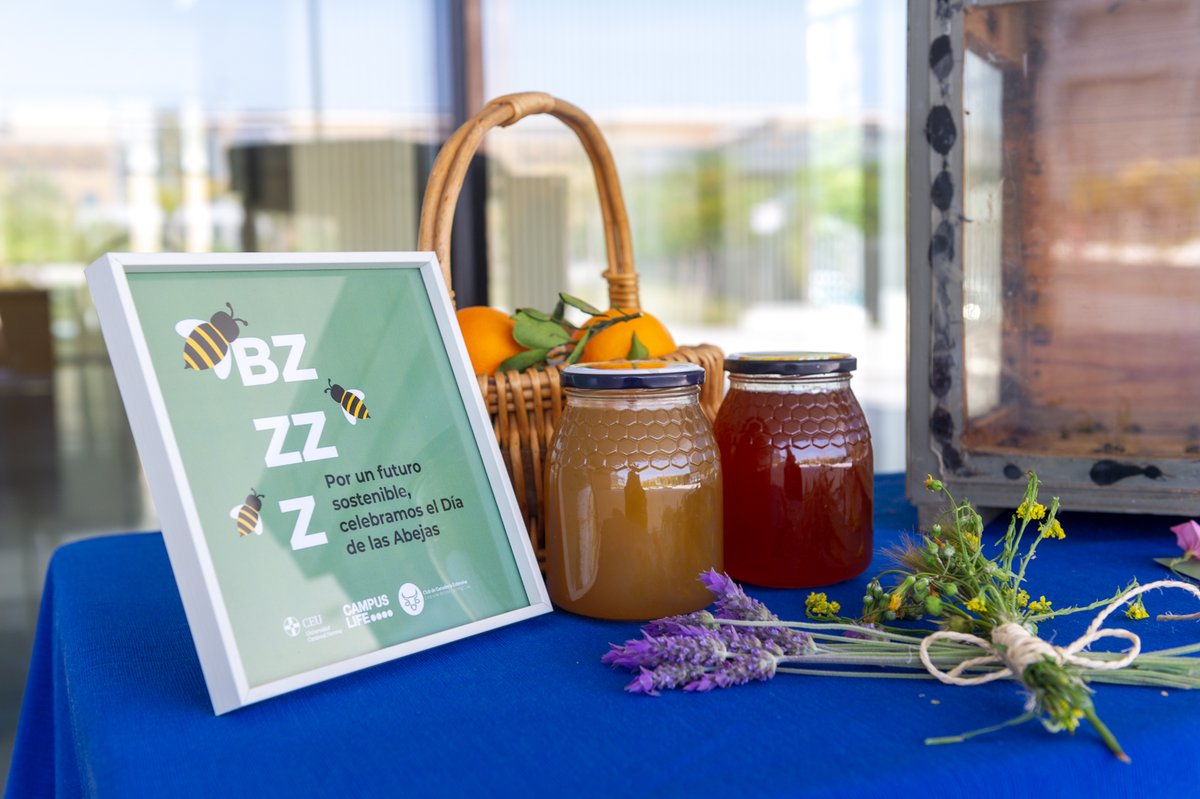 uchceu's tweet photo. ¡Hoy es el #DiaMundialdelasAbejas! Son fundamentales para la supervivencia de nuestro planeta y debemos cuidarlas y prestarles la atención que merecen https://t.co/k5OjHn0SMb