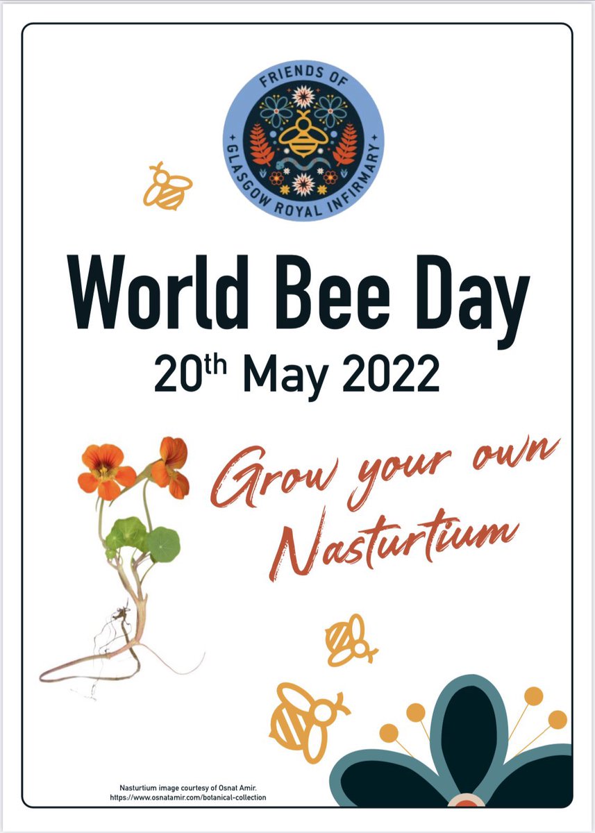 World Bee Day 🐝. Introducing  our GRI Back Door Medical Bee 🐝 ax #medicalspecialties #glasgowroyalinfirmary #WorldBeeDay  @GillianHunter20 @smlmyers @FriendsofGRI