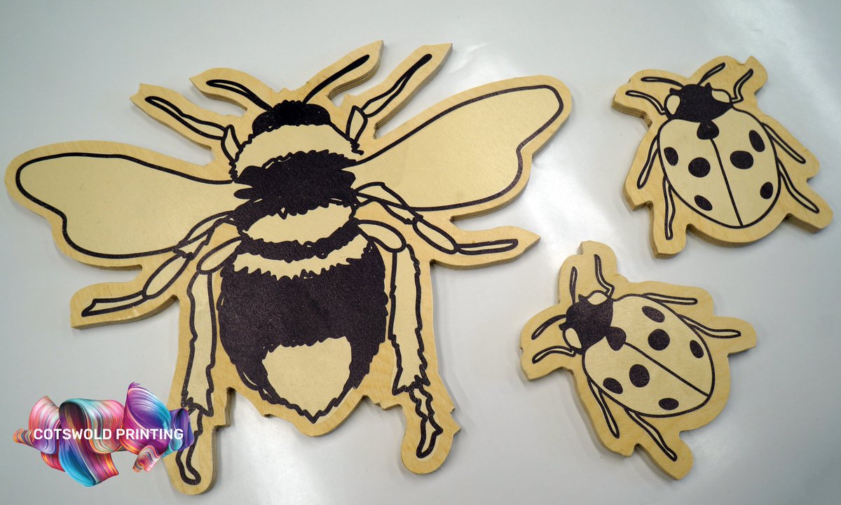 Cotswold_Print's tweet photo. Today marks National Bee Day! 🐝🐝 

World Bee Day is celebrated on May 20 each year. The purpose of the international day is to acknowledge the role of bees and other pollinators in the ecosystem. 🌎

#bee #beeday #honey #worldbeeday #beekeping #bees #pollinate #flowers https://t.co/QYUwJywfel