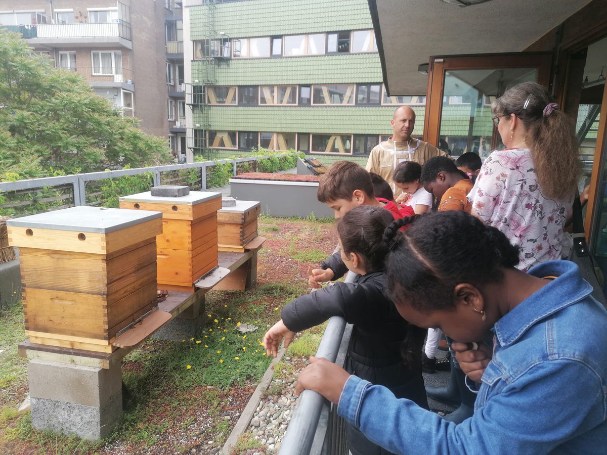 CommonsLabA's tweet photo. Today i gave my first apiculture lesson #educationasacommunityservice #knowledgeascommons https://t.co/FnpNhMdPYW