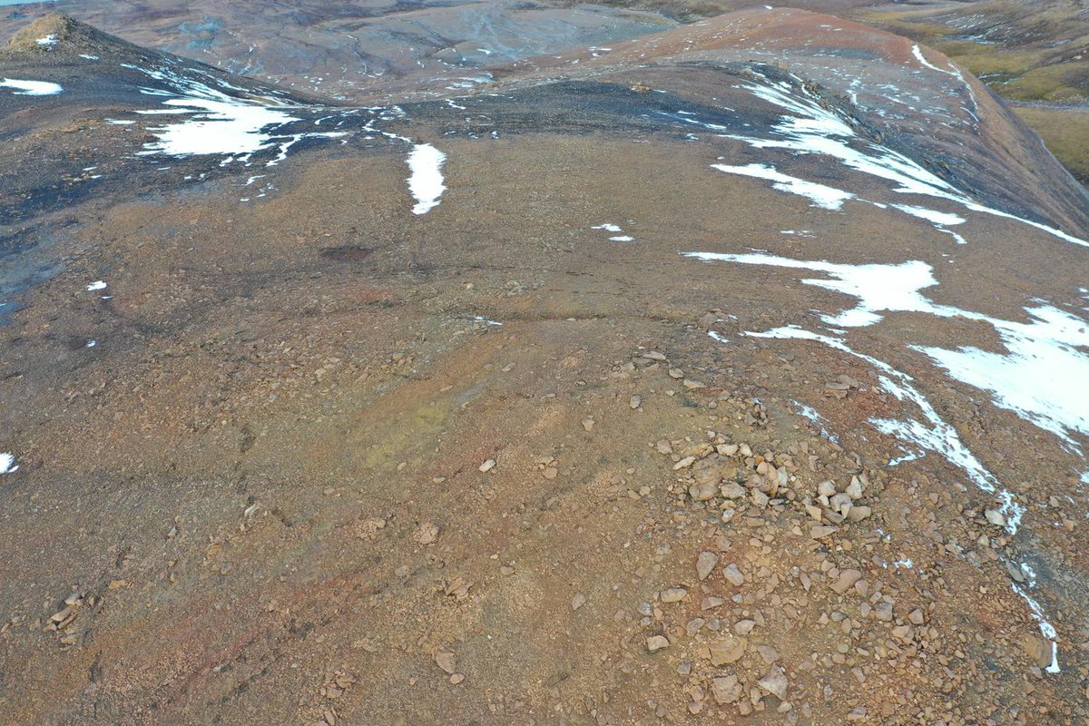 #DOM of the day - Introducing the #Criocerasdalen digital model!

Interact with the #Svalbox model here: svalbox.no/?page_id=4190 

#SandVolcano #Injectite #DigitalGeology #Arctic #Svalbard