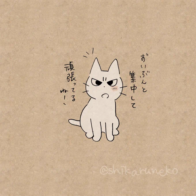 集中しすぎで水分補給を忘れる人を叱ってくれる猫 