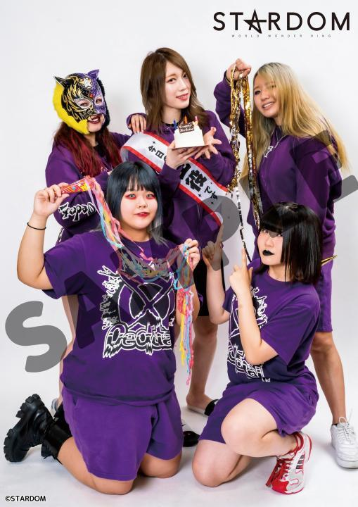 STARDOM_ENG's tweet image. Coming SOON to STARDOM international stores, hopefully:

-Towels. The most important thing a hitchhiker can have! (Does not come with babel fish)
-Saki Kashima birthday portraits (Comes with babel fish)